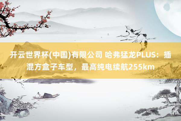 开云世界杯(中国)有限公司 哈弗猛龙PLUS：插混方盒子车型，最高纯电续航255km