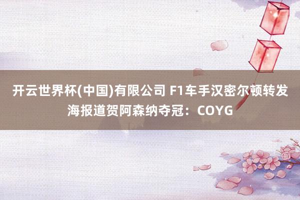 开云世界杯(中国)有限公司 F1车手汉密尔顿转发海报道贺阿森纳夺冠：COYG