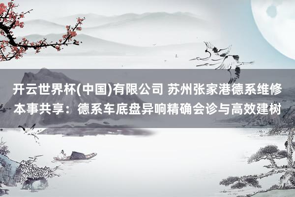 开云世界杯(中国)有限公司 苏州张家港德系维修本事共享：德系车底盘异响精确会诊与高效建树