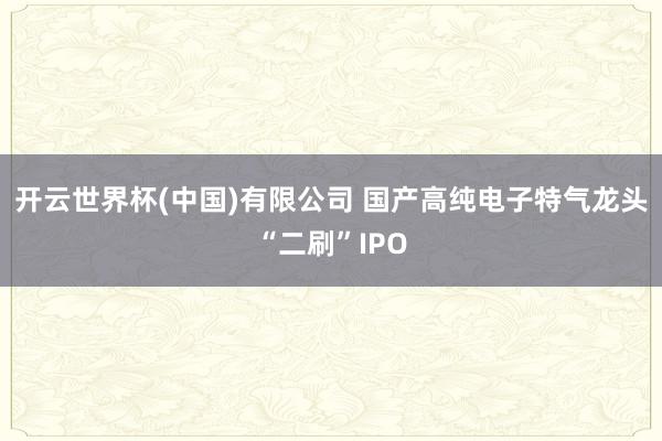开云世界杯(中国)有限公司 国产高纯电子特气龙头“二刷”IPO