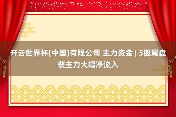 开云世界杯(中国)有限公司 主力资金 | 5股尾盘获主力大幅净流入