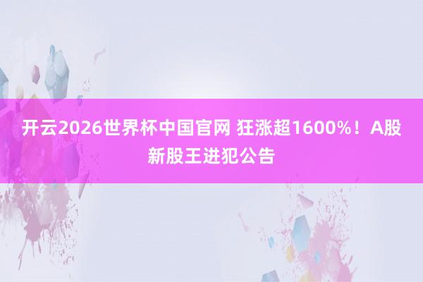 开云2026世界杯中国官网 狂涨超1600%！A股新股王进犯公告