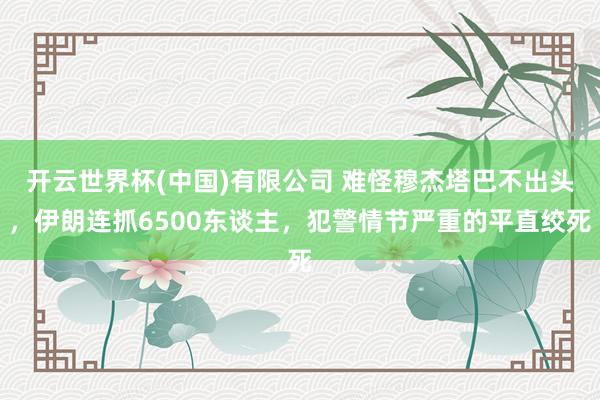 开云世界杯(中国)有限公司 难怪穆杰塔巴不出头，伊朗连抓6500东谈主，犯警情节严重的平直绞死
