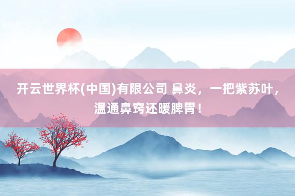 开云世界杯(中国)有限公司 鼻炎，一把紫苏叶，温通鼻窍还暖脾胃！