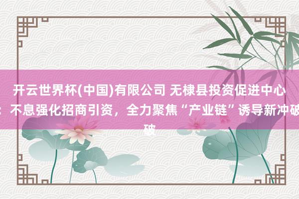 开云世界杯(中国)有限公司 无棣县投资促进中心：不息强化招商引资，全力聚焦“产业链”诱导新冲破