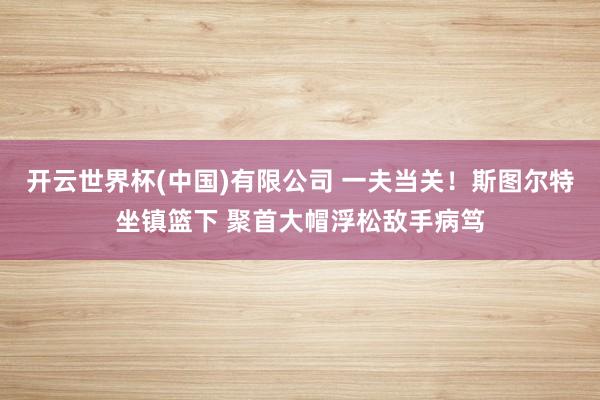 开云世界杯(中国)有限公司 一夫当关！斯图尔特坐镇篮下 聚首大帽浮松敌手病笃