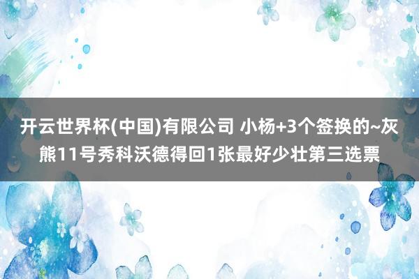 开云世界杯(中国)有限公司 小杨+3个签换的~灰熊11号秀科沃德得回1张最好少壮第三选票