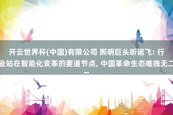 开云世界杯(中国)有限公司 照明巨头昕诺飞: 行业站在智能化变革的要道节点， 中国革命生态唯独无二