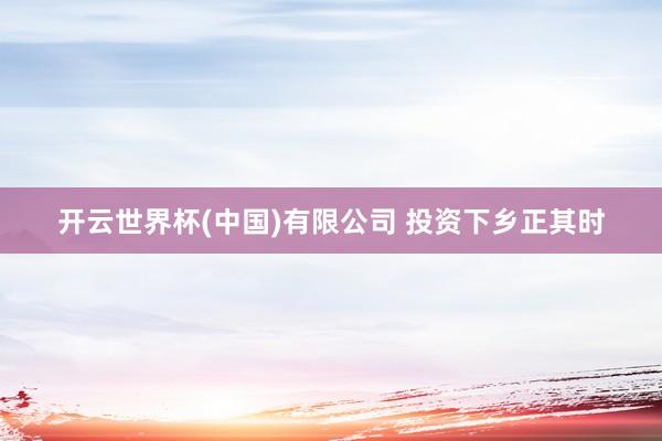 开云世界杯(中国)有限公司 投资下乡正其时