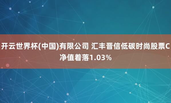 开云世界杯(中国)有限公司 汇丰晋信低碳时尚股票C净值着落1.03%