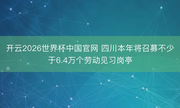 开云2026世界杯中国官网 四川本年将召募不少于6.4万个劳动见习岗亭