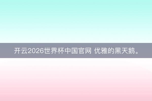 开云2026世界杯中国官网 优雅的黑天鹅<a href=