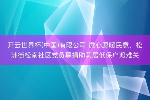 开云世界杯(中国)有限公司 微心愿暖民意，松洲街松南社区党员募捐助茕居低保户渡难关