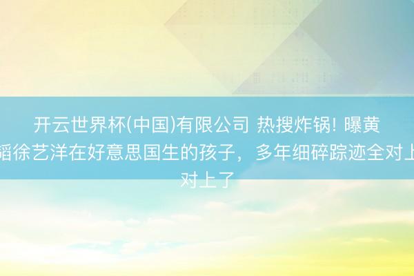 开云世界杯(中国)有限公司 热搜炸锅! 曝黄子韬徐艺洋在好意思国生的孩子,多年细碎踪迹全对上了